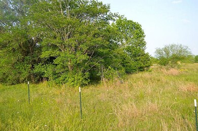 14515 Tierra Grande Dr, Needville, TX 77461 - photo 2