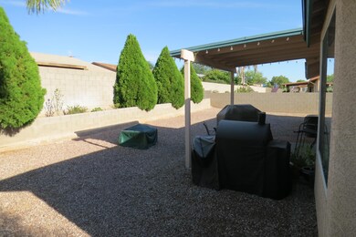 Backyard 2