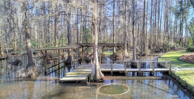 369 Mill Branch Rd, Warwick, GA 31796 - photo 6