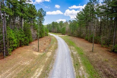3+ac Spring Farm Rd, Dendron, VA 23839 - photo 6