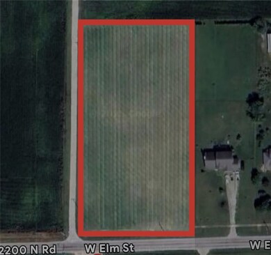 0 W Elm St, Argenta, IL 62501 - photo 4