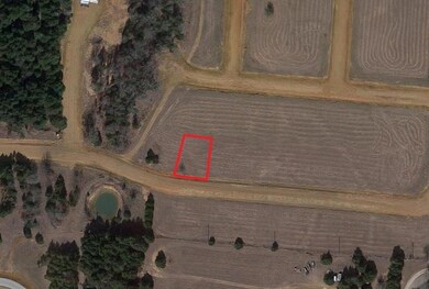 Lot 26D Valhalla Ct, Gordonville, TX 76245 - photo 3