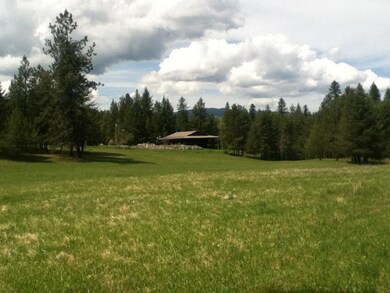 Pasture