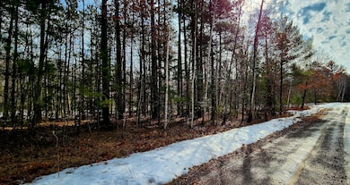 On Mishonagon Way, Lac Du Flambeau, WI 54538 - photo 2