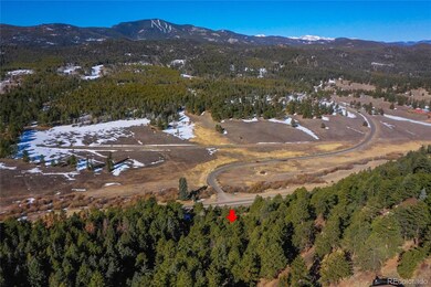 27292 Ridge Trail, Conifer, CO 80433 - photo 2