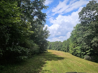 0 Young Ridge Rd unit RTC2818522, Sparta, TN 38583 - photo 3