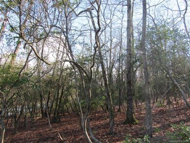 425 Walnut Valley Pkwy unit Lot 96, Arden, NC 28704 - photo 3