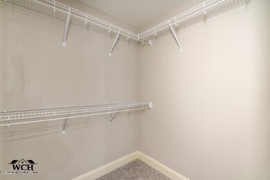 206RedTailCircle-7