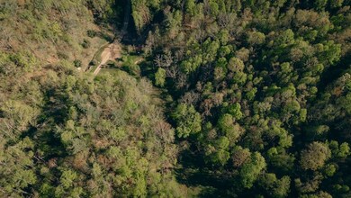 8270 Twin Falls Rd NE, Copper Hill, VA 24079 - photo 7