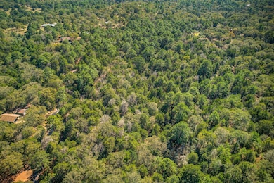 TBD Mountain Valley Dr, Smithville, TX 78957 - photo 5