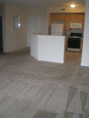8340 Callie Ave unit E106, Morton Grove, IL 60053 - photo 3