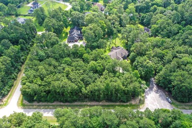 10 Lake Forest Dr, Conroe, TX 77384 - photo 6