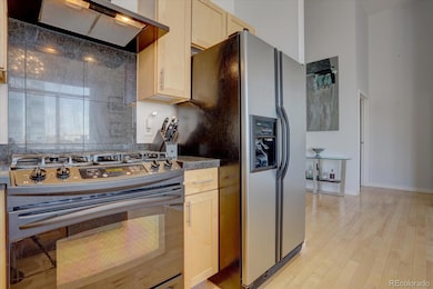 1438 Little Raven St unit 409, Denver, CO 80202 - photo 4