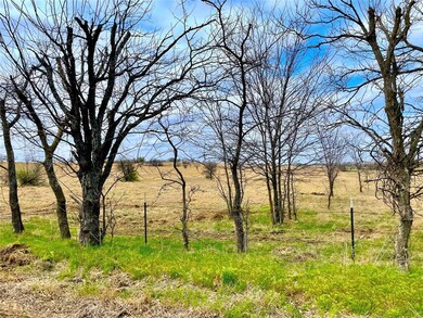 2815 Cr 4010, Decatur, TX 76234 - photo 6