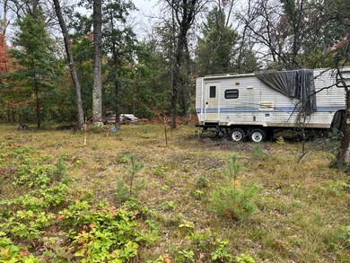 v/l S Broadway St, Baldwin, MI 49304 - photo 7