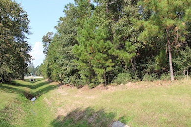 27410 E Benders Landing Blvd, Spring, TX 77386 - photo 4