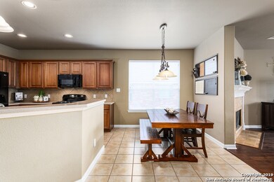 25627 Coral Vine, San Antonio, TX 78261 - photo 6