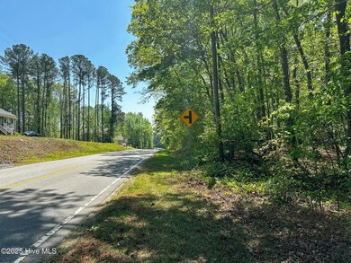 0 S Mcneill St, Carthage, NC 28327 - photo 6