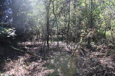 24994 7th St, Ardmore, AL 35739 - photo 6