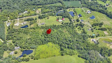 13 partially wooded acres in Alexanria
