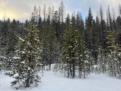 0 Olive Creek Rd unit 220175401, Granite, OR 97877 - photo 2