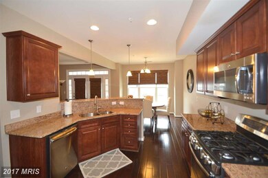 25216 Briargate Terrace, Chantilly, VA 20152 - photo 7