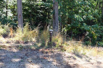 8366 N Pass Rd, Everson, WA 98247 - photo 7