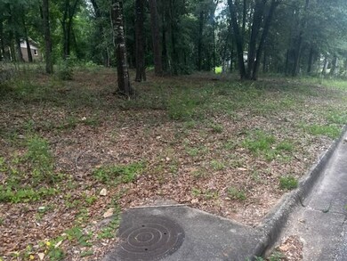 3801 Old Mill Run, Dothan, AL 36303 - photo 4