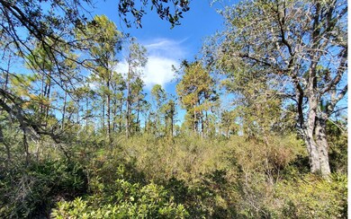 0 County Line Rd unit 121590, Lee, FL 32059 - photo 6