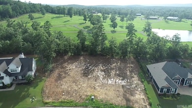 336 Waterview Meadows Ln, Roland, AR 72135 - photo 7