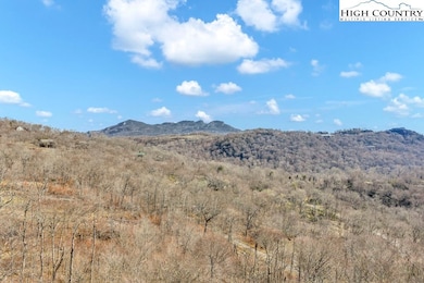 210 Cloud Spring Dr, Sugar Mountain, NC 28604 - photo 4