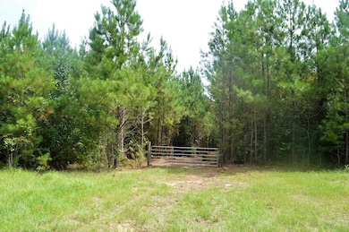 ... Liberty White Ln, McComb, MS 39648 - photo 2