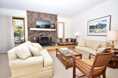 601 Wildflower Condo Dr, Sun Valley, ID 83353 - photo 6