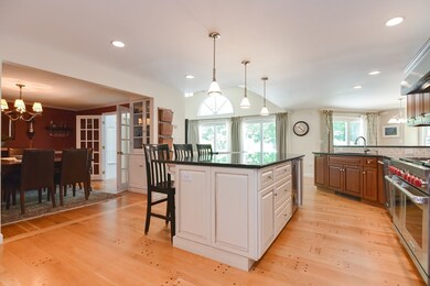 3 Venus Cir, Franklin, MA 02038 - photo 4
