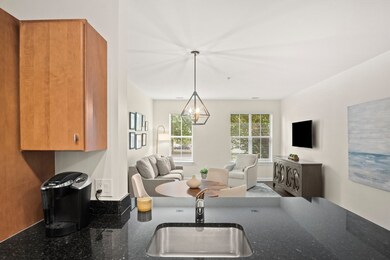 3 Repton Cir unit 3107, Watertown, MA 02472 - photo 7