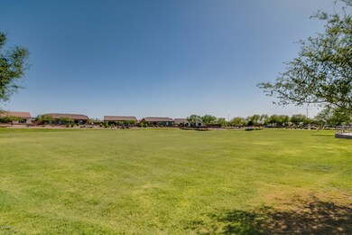 Grassy areas