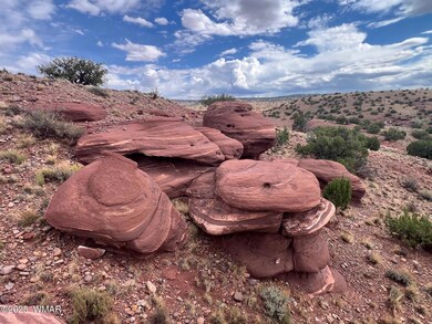 000 N5158, Concho, AZ 85924 - photo 5