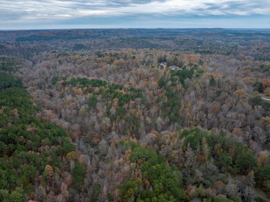 20241204-DJI_20241204154227_0550_D-HDR