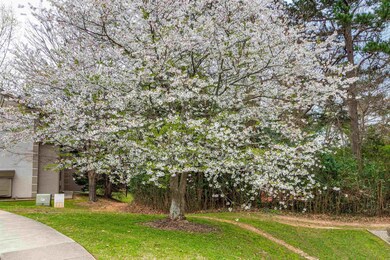2518 Avent Ferry Rd unit 101, Raleigh, NC 27606 - photo 2