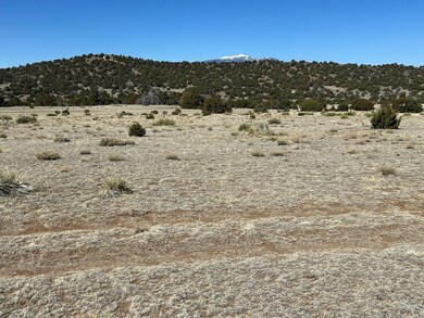 Lot 93 Twin Lakes Ranch, Walsenburg, CO 81089 - photo 7