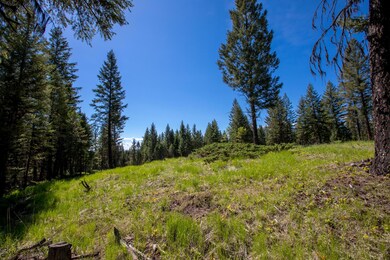 Nhn Aspen Glen Rd, Eureka, MT 59917 - photo 7