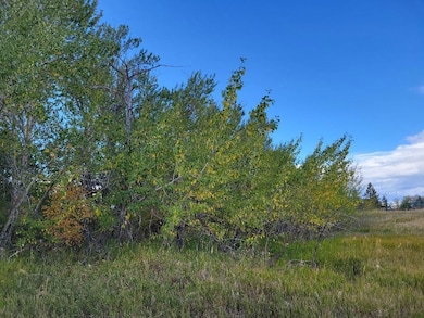 0 Hyalite Canyon Rd, Bozeman, MT 59715 - photo 4