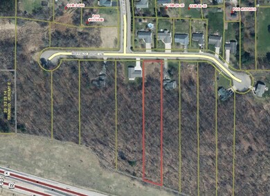 911 Buffalo Ridge Ln, Waupaca, WI 54981 - photo 5