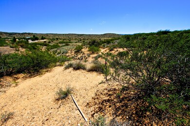 IMG_1064