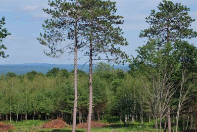 210 Ridge Rd unit 3, New Durham, NH 03855 - photo 3