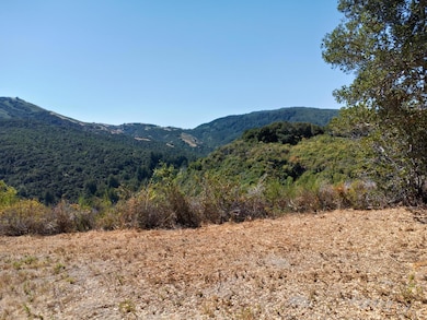 4 Holding Field Run, Carmel-By-the-sea, CA 93923 - photo 3