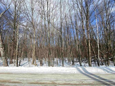 0 Musterfield Heights Rd unit M405 L24 4896352, Marlow, NH 03456 - photo 2