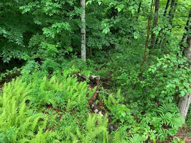 12 Snell Rd, Meredith, NH 03253 - photo 3