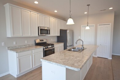 14830 W 102nd Ave, Dyer, IN 46311 - photo 5