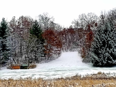 5364 Everson Rd, Blanchardville, WI 53516 - photo 4